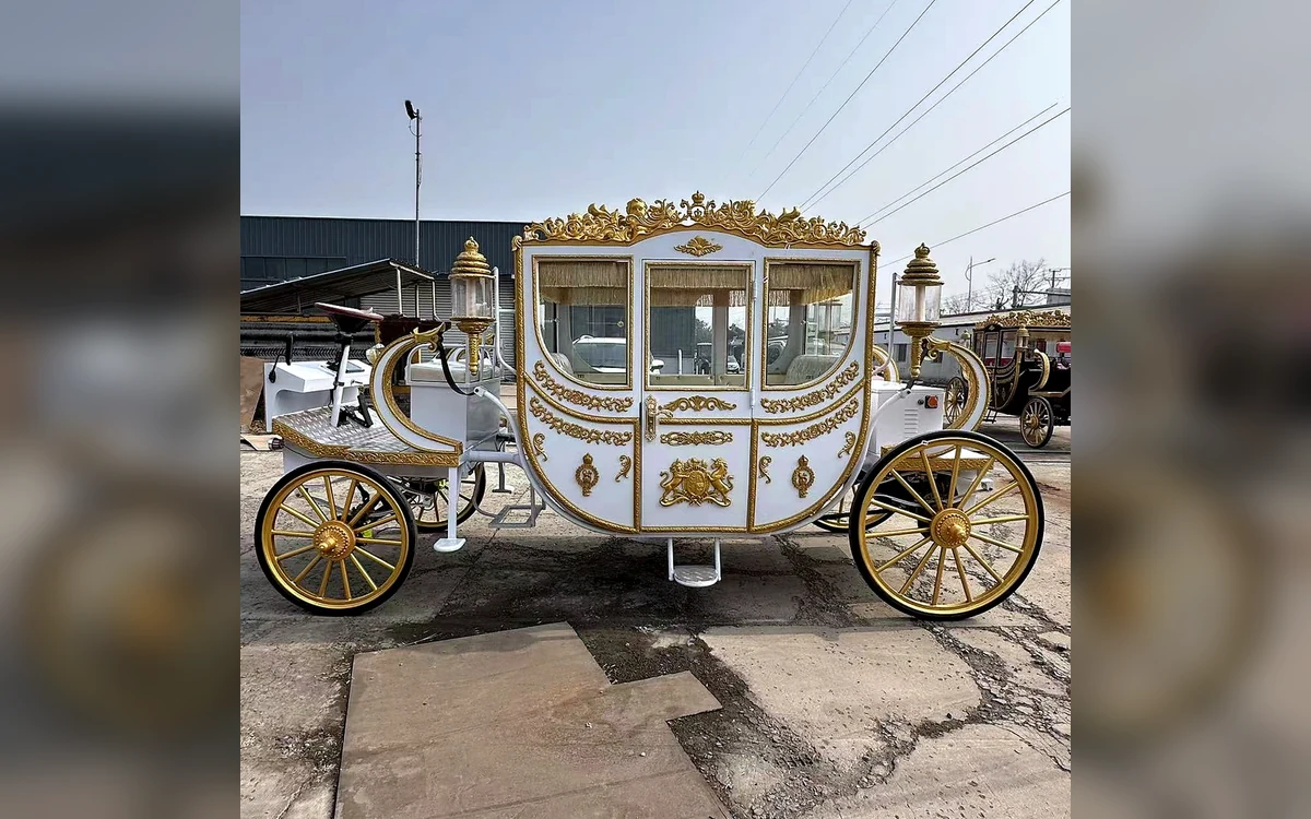 Tourist Carriage angle 4